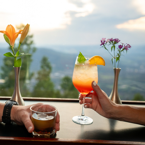 Hazie's Dinner Gondola