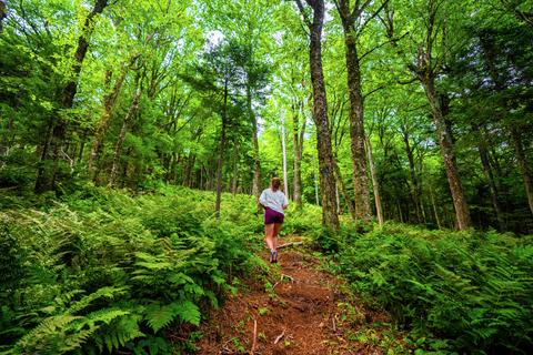 Hiking blue summit intermediate access trail