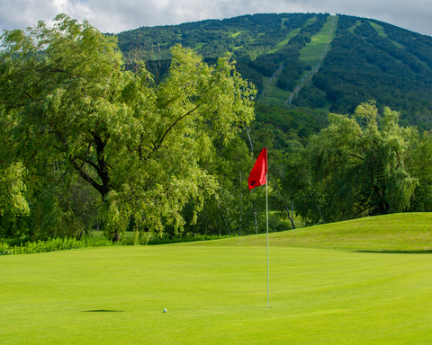 golf lifestyle course club boys friends guests smile laugh green apron pro shop music green fairway put drive chip
