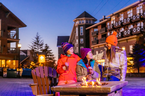 Village Firepit Family