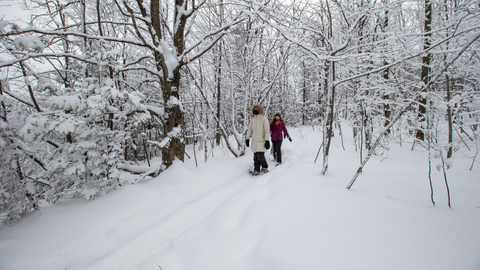 Snowshoeing