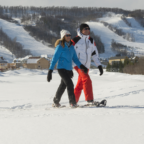 Snowshoeing, Mountain View, Landscape, Couple