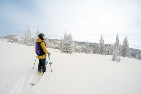 Skiing and Snowboarding