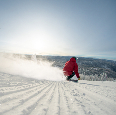 corduroy groomer