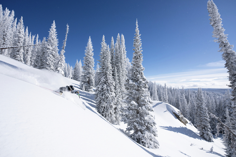Powder Skiing 
