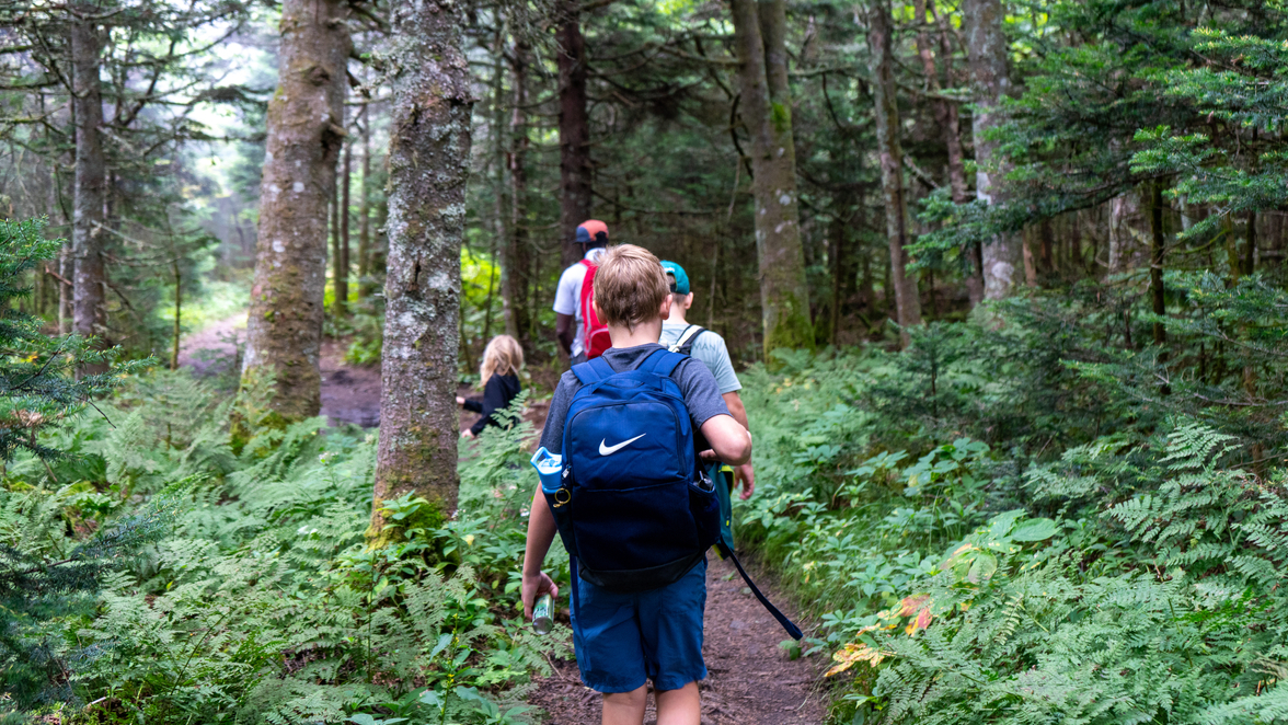 Kid's Hike