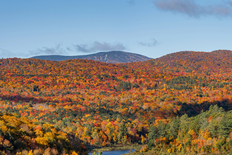  view of Stratton Mountain through Fall foliage