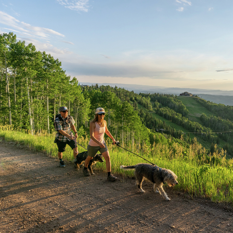 Summer Family Hiking