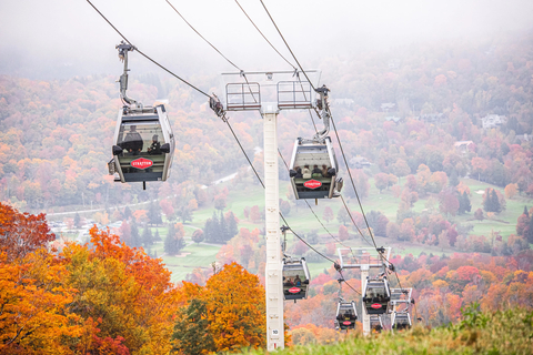 Gondola, Fall