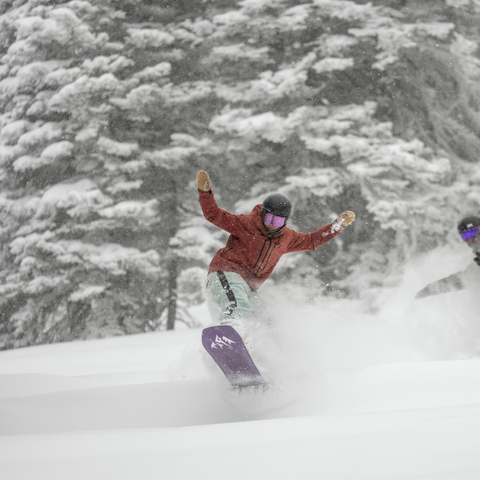 Snowboard Powder Day Pow Trees