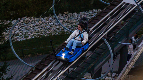 Canopy Climb, Night, Lights