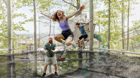 Canopy Climb