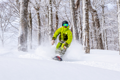 10 inches inch saturday powder pow fresh gnar ski snowboarding skiing snowboarding trees spruce snow 