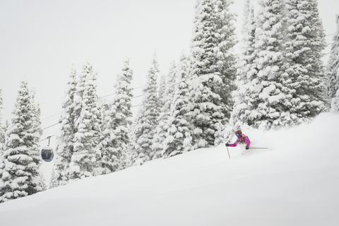 Powder Skiing 
