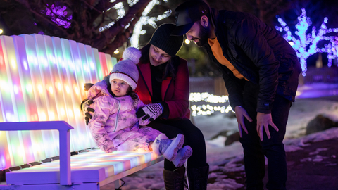 Holiday Magic, Village, Night, Lights