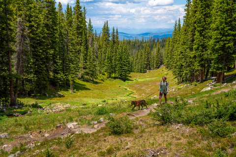 dogs hiking