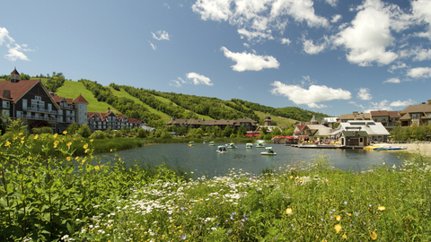 Summer Landscape Scenic