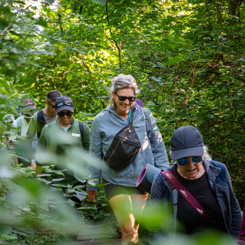 Mountain Mindfulness, Columbia, Hike, Yoga, Shopping, Event