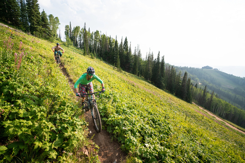 Summer mountain biking