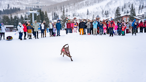 Guests enjoy the Torchlight Parade & Fireworks show at Solitude Mountain Resort. Before the fireworks an avalanche dog demo and magic show take place.