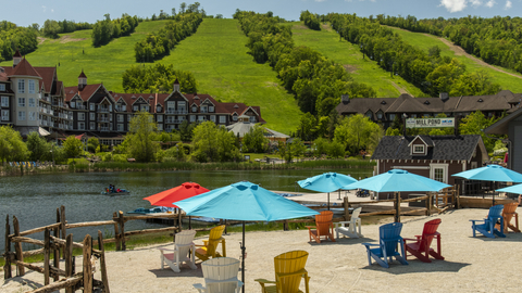 Summer Landscape Scenic