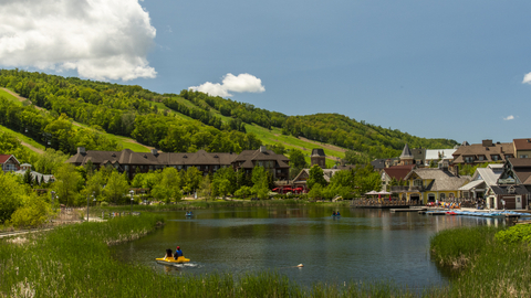 Summer Landscape Scenic