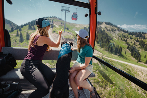 two women and their dog marvel at crystal while on the scenic gondola