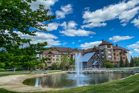 Lodging, MIll Pond, Mill House, Commons