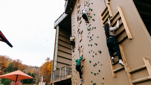 Lumber Lanes Climbing Centre/Climbing Wall