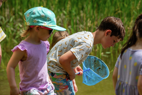 kids looking for goldfish at stratton resort during a sunny afternoon, enjoying outdoor activities as part of the summer camp for kids