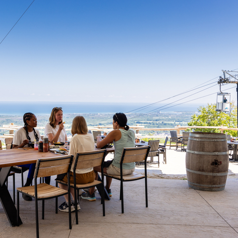Summitview