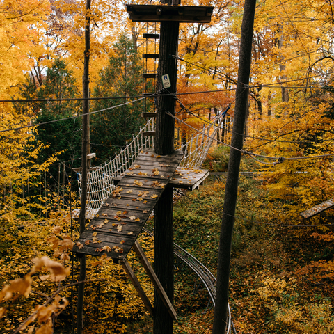 Timber Challenge High Ropes