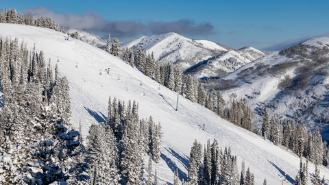 Scenic photos of Solitude on a sunny day.