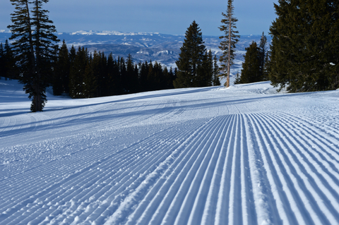 Corduroy, Grooming