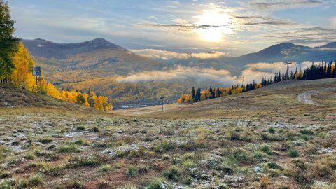 Golden aspen leaves shine through the first snow of the year at Solitude Mountain Resort