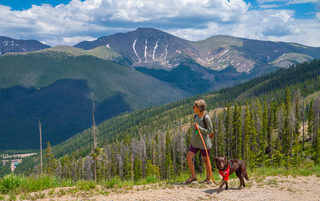 dogs hiking