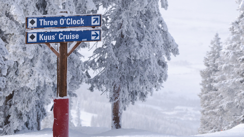 Ski run signs