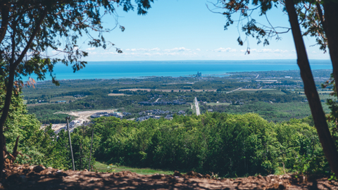 Summer Landscape Scenic