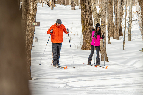 Two people cross-country skiing in winter on a groomed cross-country ski trail