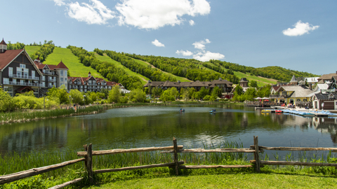 Summer Landscape Scenic