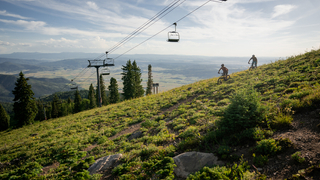 Cross Country Mountain Bike