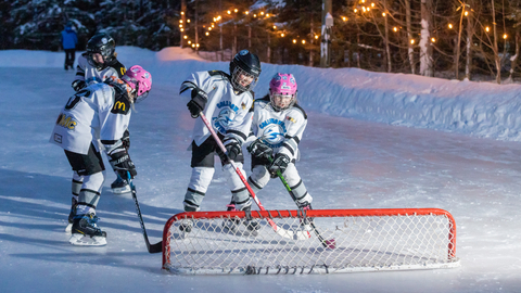Woodview Mountaintop Skating, Shinny Pad, Hockey