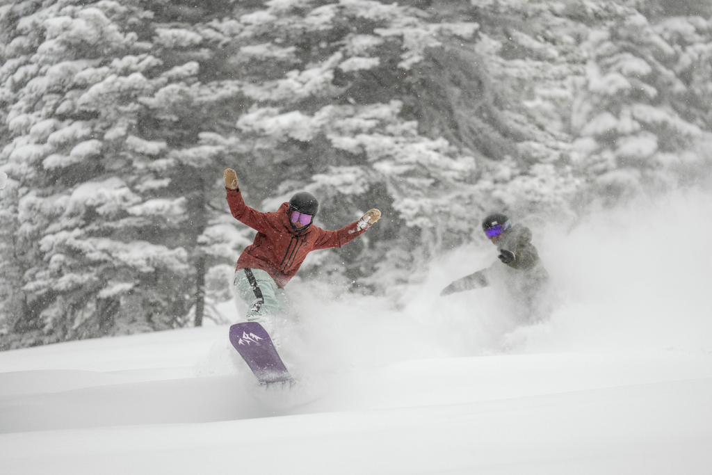 Snowboard Powder Day Pow Trees