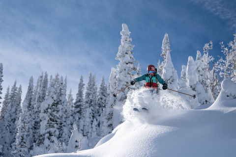 FreeSkiing in powder conditions