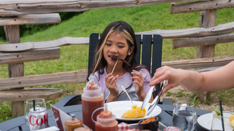 Summitview Mountaintop Family BBQ