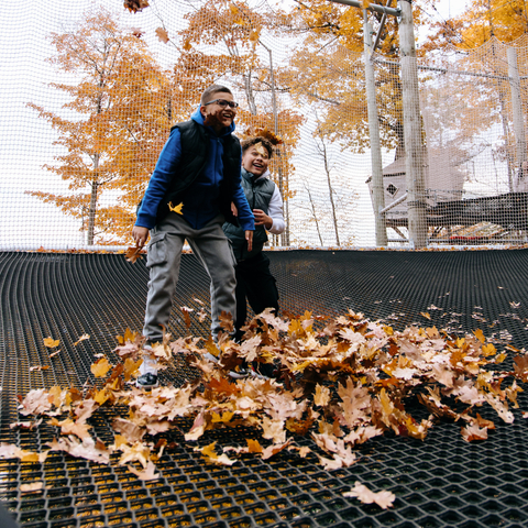 Canopy Climb
