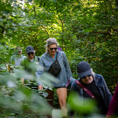 Mountain Mindfulness, Columbia, Hike, Yoga, Shopping, Event