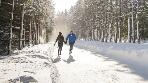 Woodview Mountaintop Skating, Day