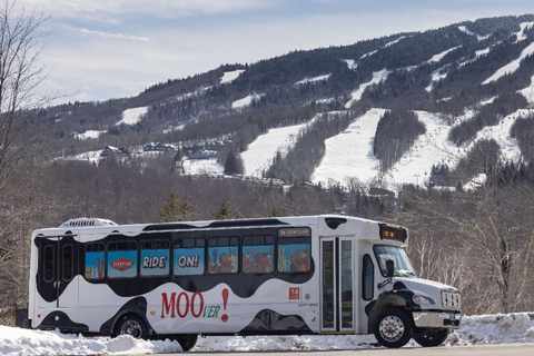 MOOver Public Transit Stratton Bus