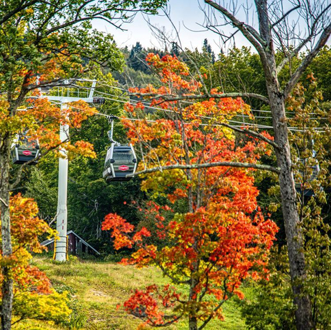 Fall Foliage Experiences and Foliage things to do